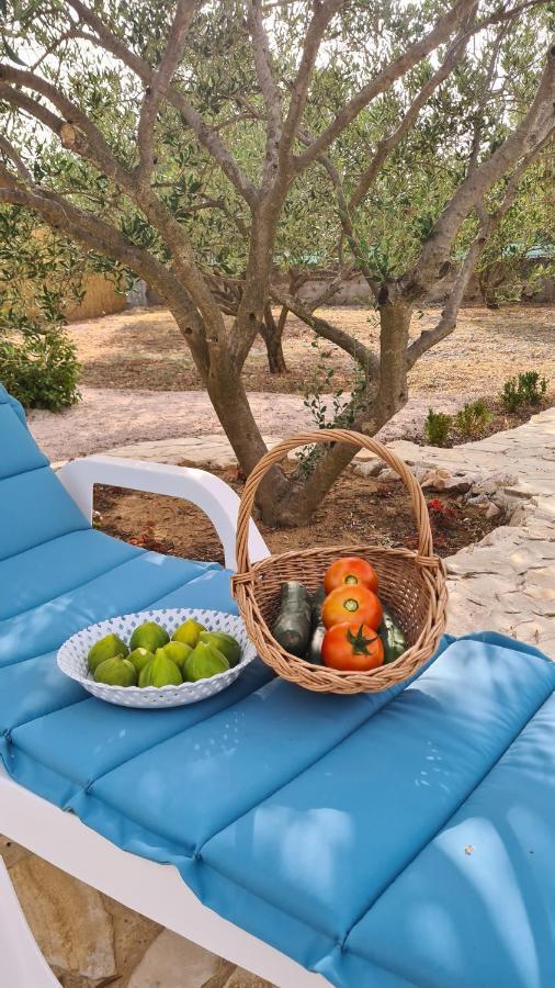 Villa Bubica- Cozy Holiday Home In Rural Area With Pool Stankovci  エクステリア 写真