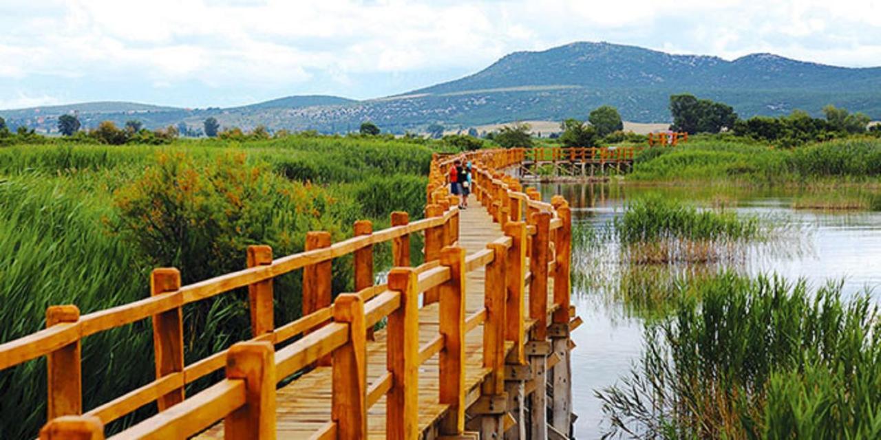 Villa Bubica- Cozy Holiday Home In Rural Area With Pool Stankovci  エクステリア 写真